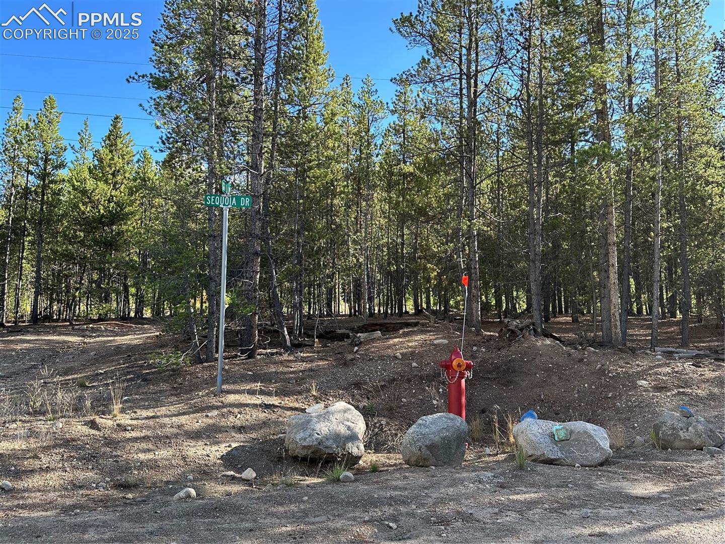 community fire hydrants