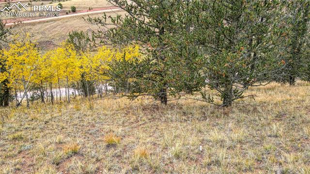 Photo 17 of 65 Portland Drive, Cripple Creek