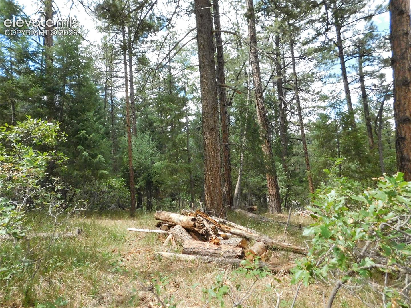 Photo 44 of 8139 Bannock Drive, Larkspur