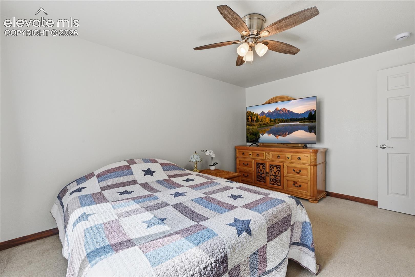 1113 Browning Ave, Woodland Park, CO 80863