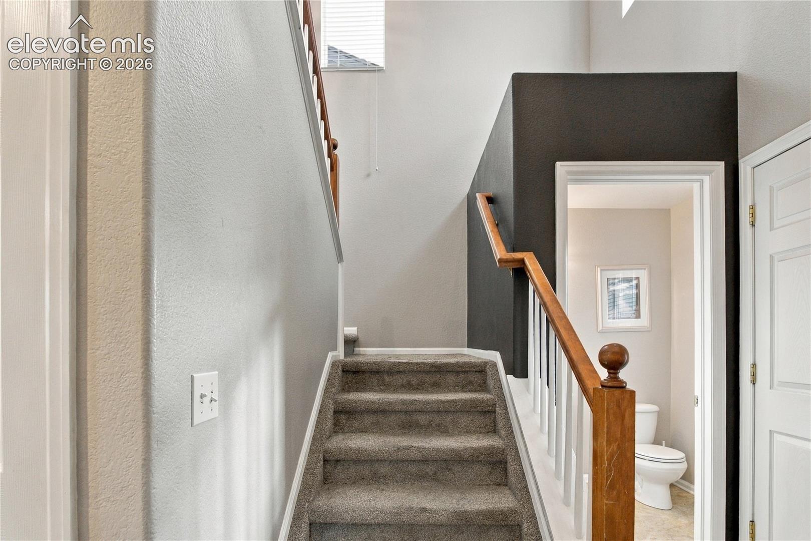 Staircase featuring carpeting, a wood-finish handrail, white balusters, and high-contrast dark painted wall accents