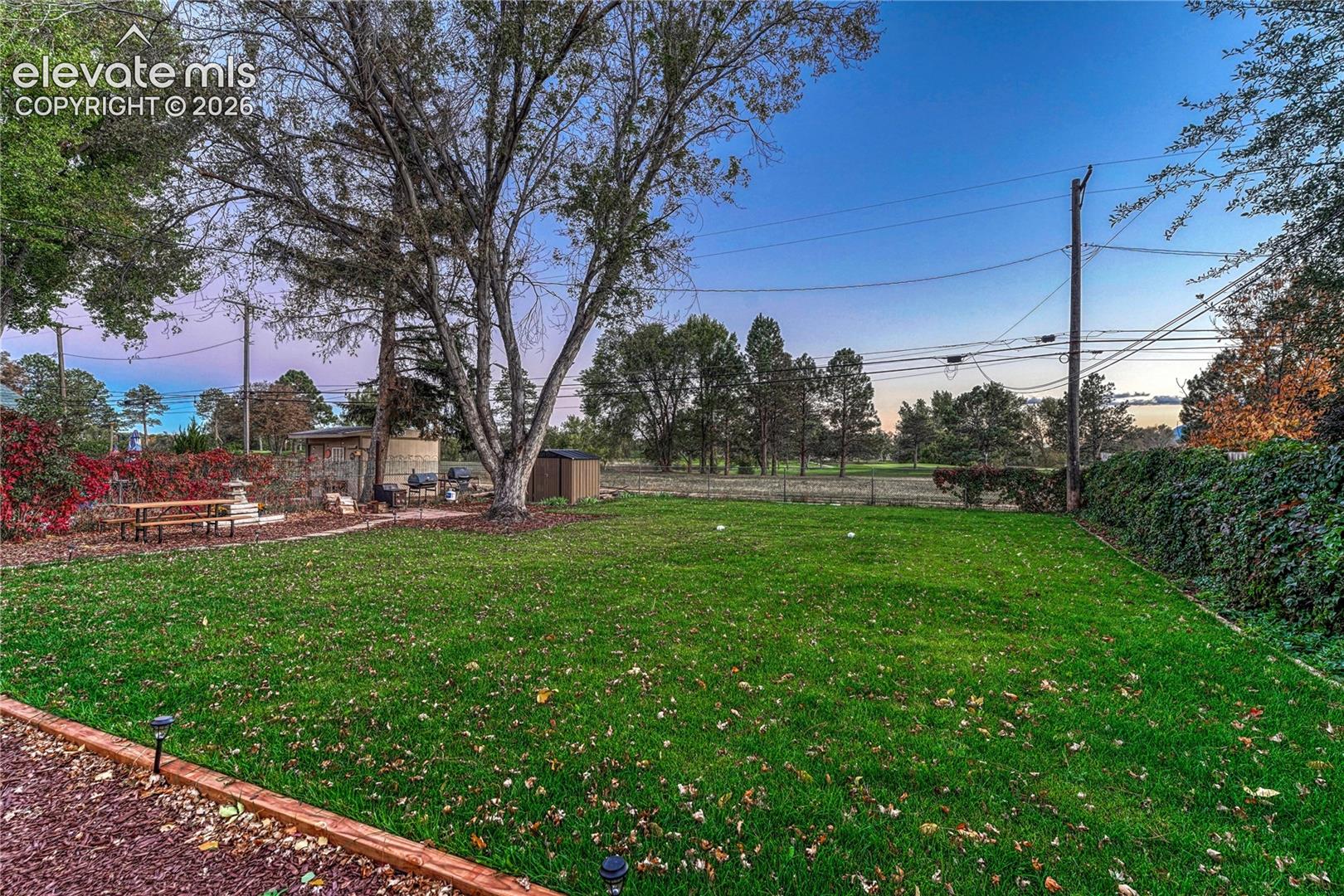 Expansive backyard featuring a level lawn, mature trees, vine-covered perimeter fencing, and a hardscaped area