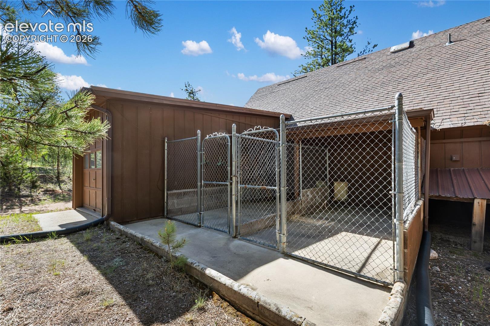 Even the pups have their own 'house!' 