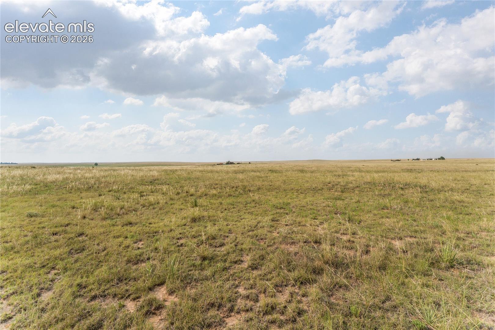 Expansive open land featuring natural grasses under a broad sky