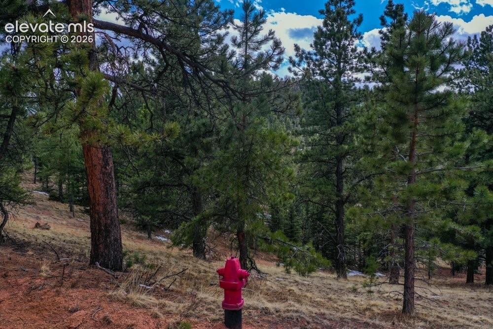 View of local wilderness with a forest view