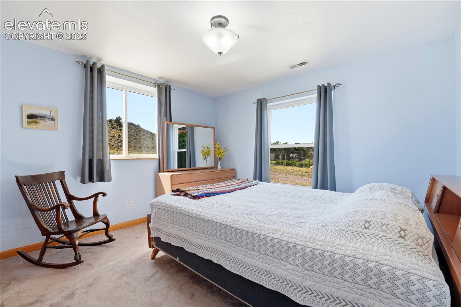 Carpeted flooring, two windows with curtain rods, and a ceiling-mounted light fixture
