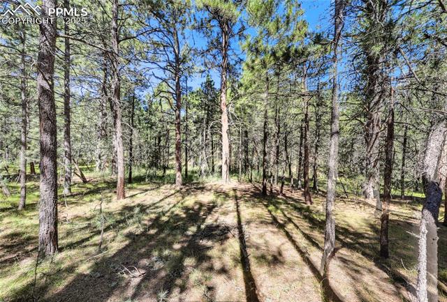 Photo 10 of 18400 Black Squirrel Road, Colorado Springs