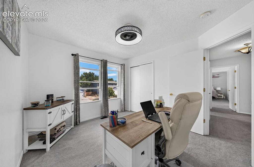 Bright room featuring two windows with curtain rods, a ceiling-mounted light fixture, and carpeted flooring