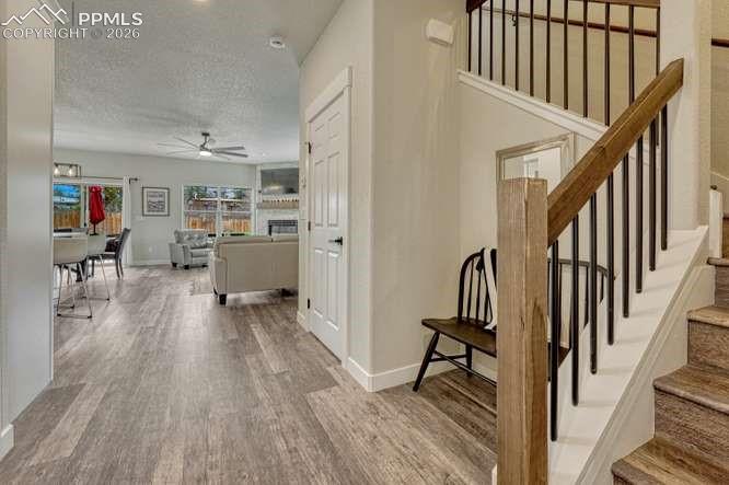 110 Chester Ave, Woodland Park, CO 80863