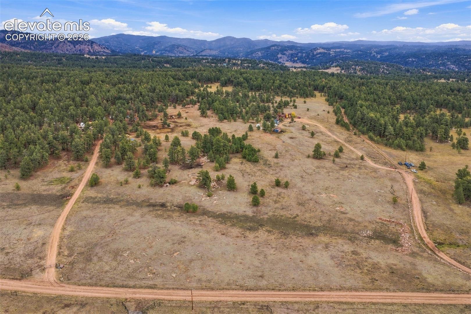 Expansive acreage featuring native grasses, mature evergreen trees, and mountainous terrain under a clear sky