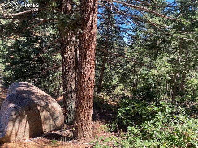 Photo 7 of 231 Upper Sun Valley Road, Manitou Springs