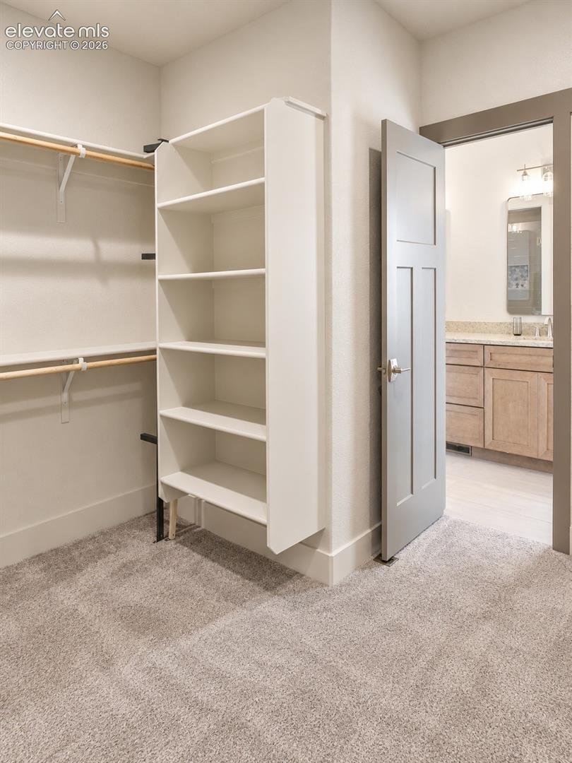 Walk-in closet featuring carpet flooring, built-in shelving, and clothes rods