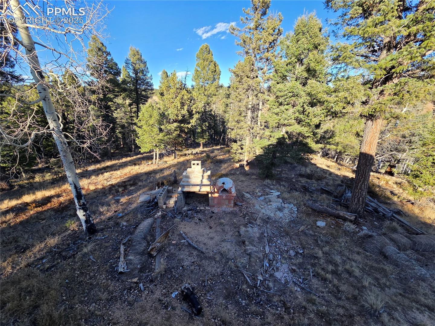 Photo 7 of 1434 Blue Mesa Drive, Divide