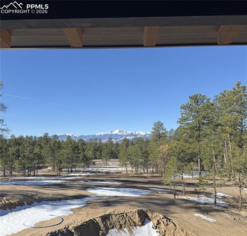 14432 Quartz Creek Dr, Colorado Springs, CO 80908