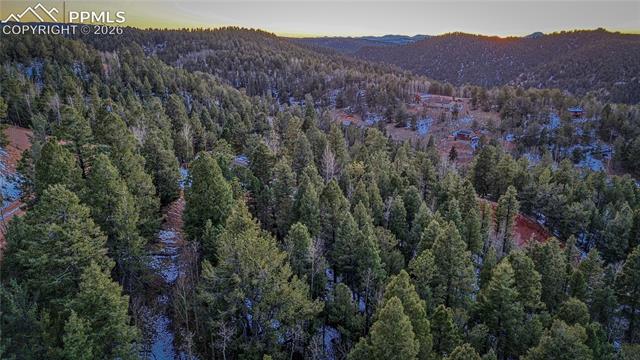 Photo 25 of 959 Calcite Drive, Divide