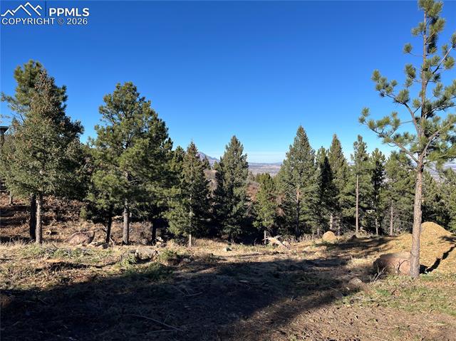 Photo 7 of 920 Grey Mountain Point, Colorado Springs