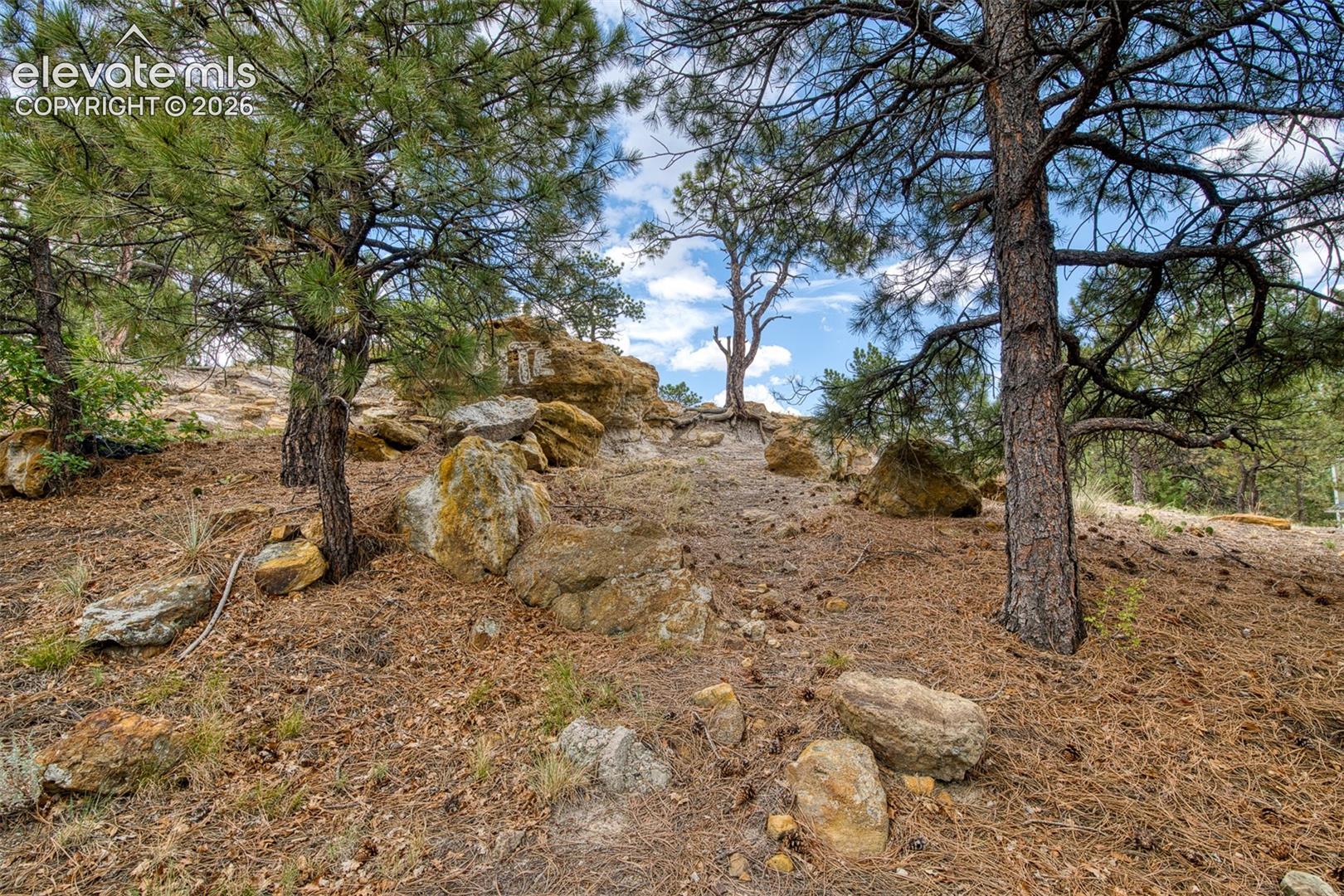 Open Space