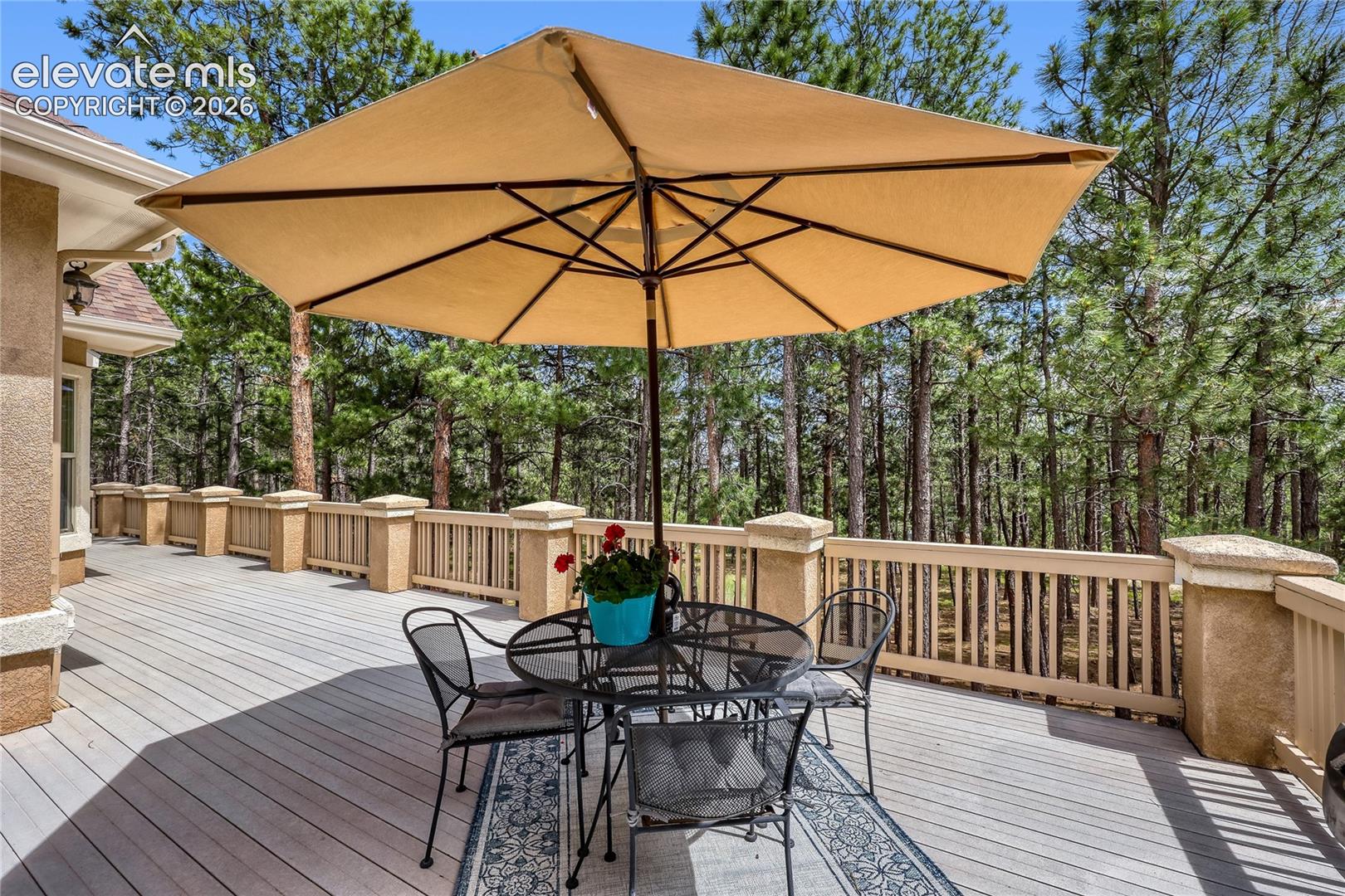 Photo 7 of 15931 Waving Branch Way, Colorado Springs