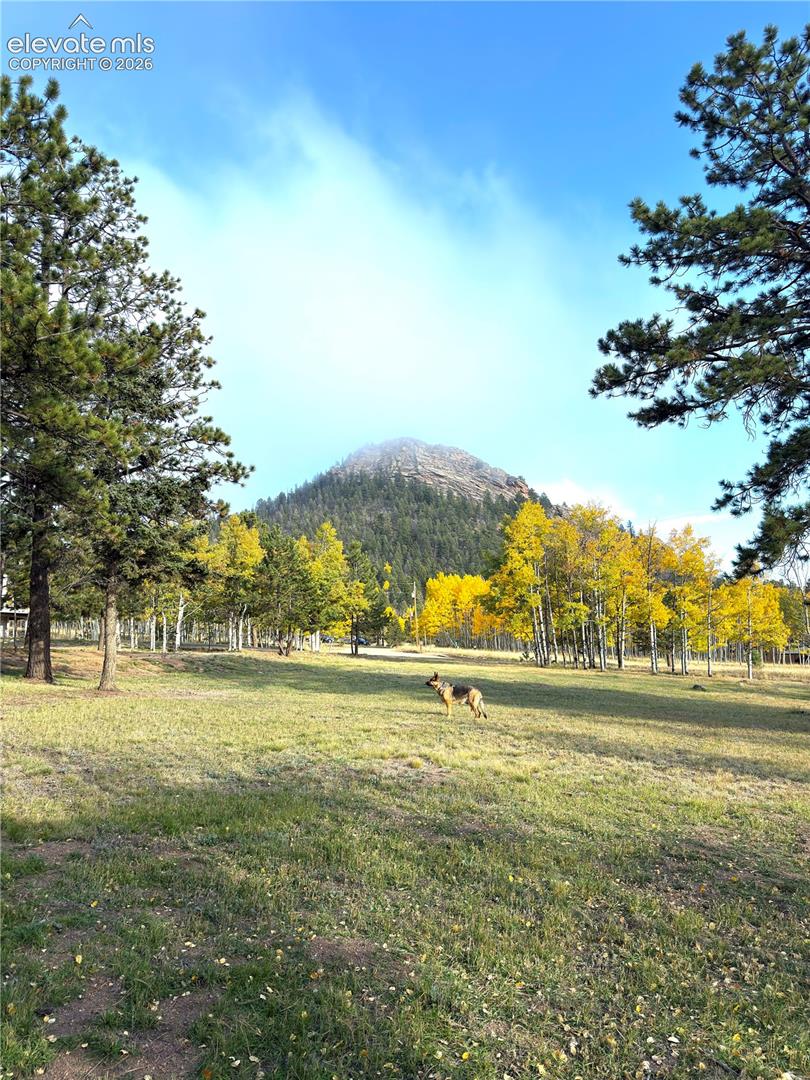 Crystal Peak
