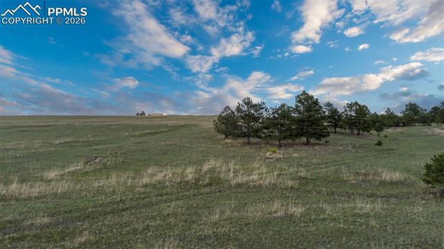 Photo 10 of 11516 Bison Meadows Court, Colorado Springs