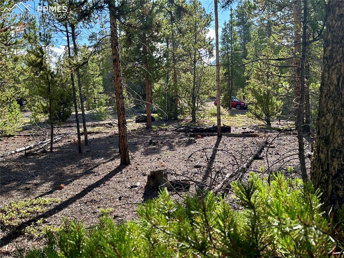 Photo 7 of 143 Fir Drive, Leadville