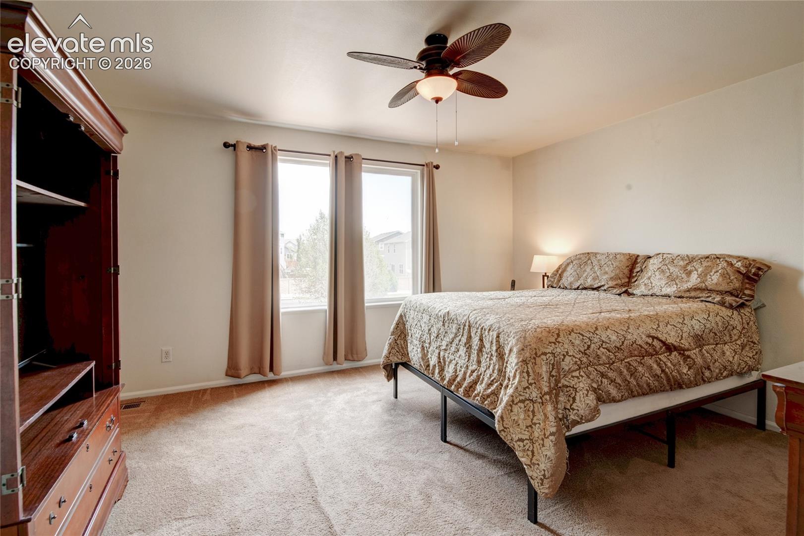 Carpeted room featuring a ceiling fan with integrated lighting, dual windows, and light-toned walls