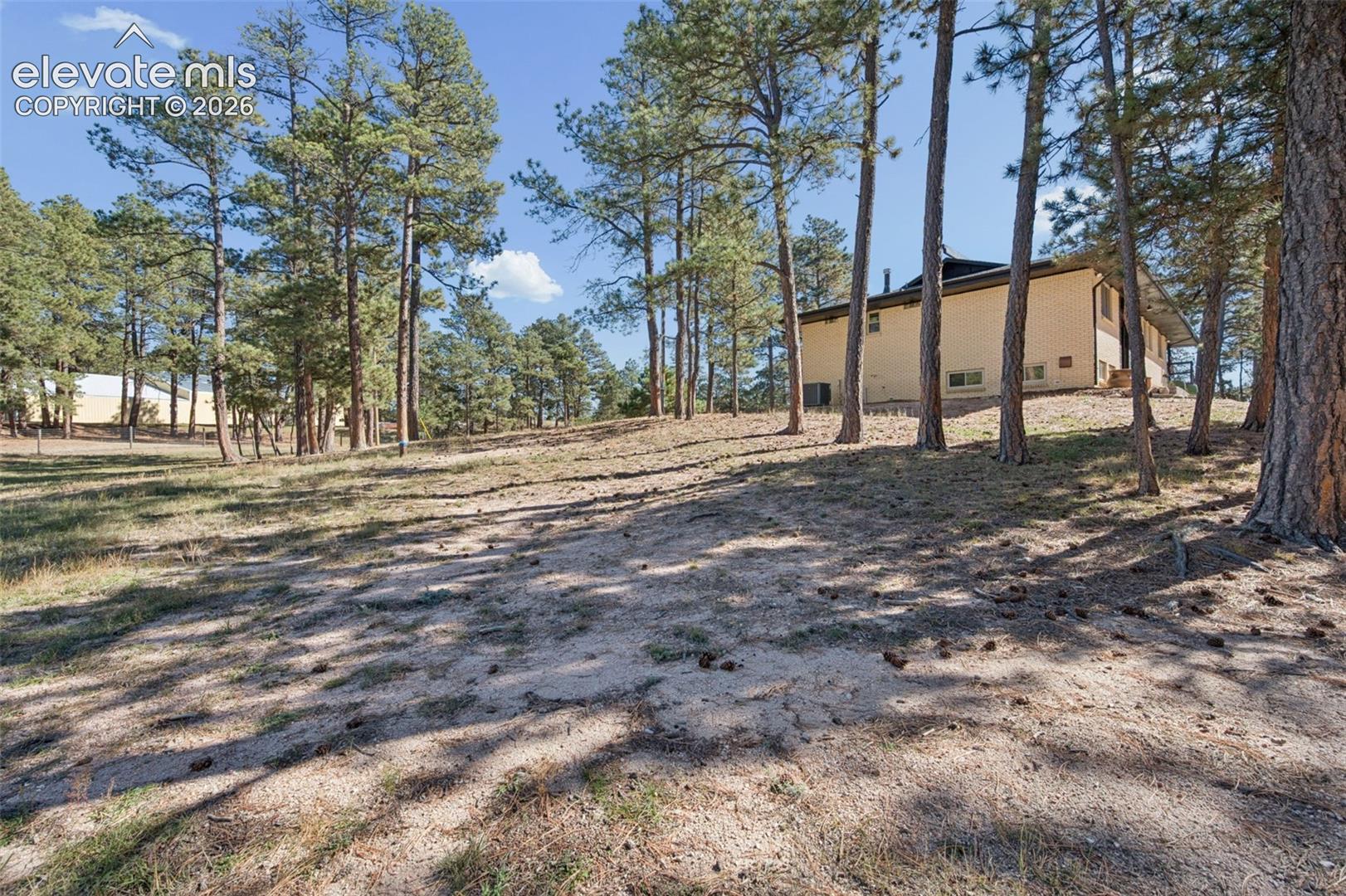 Expansive lot featuring mature pine trees and a light-colored masonry exterior