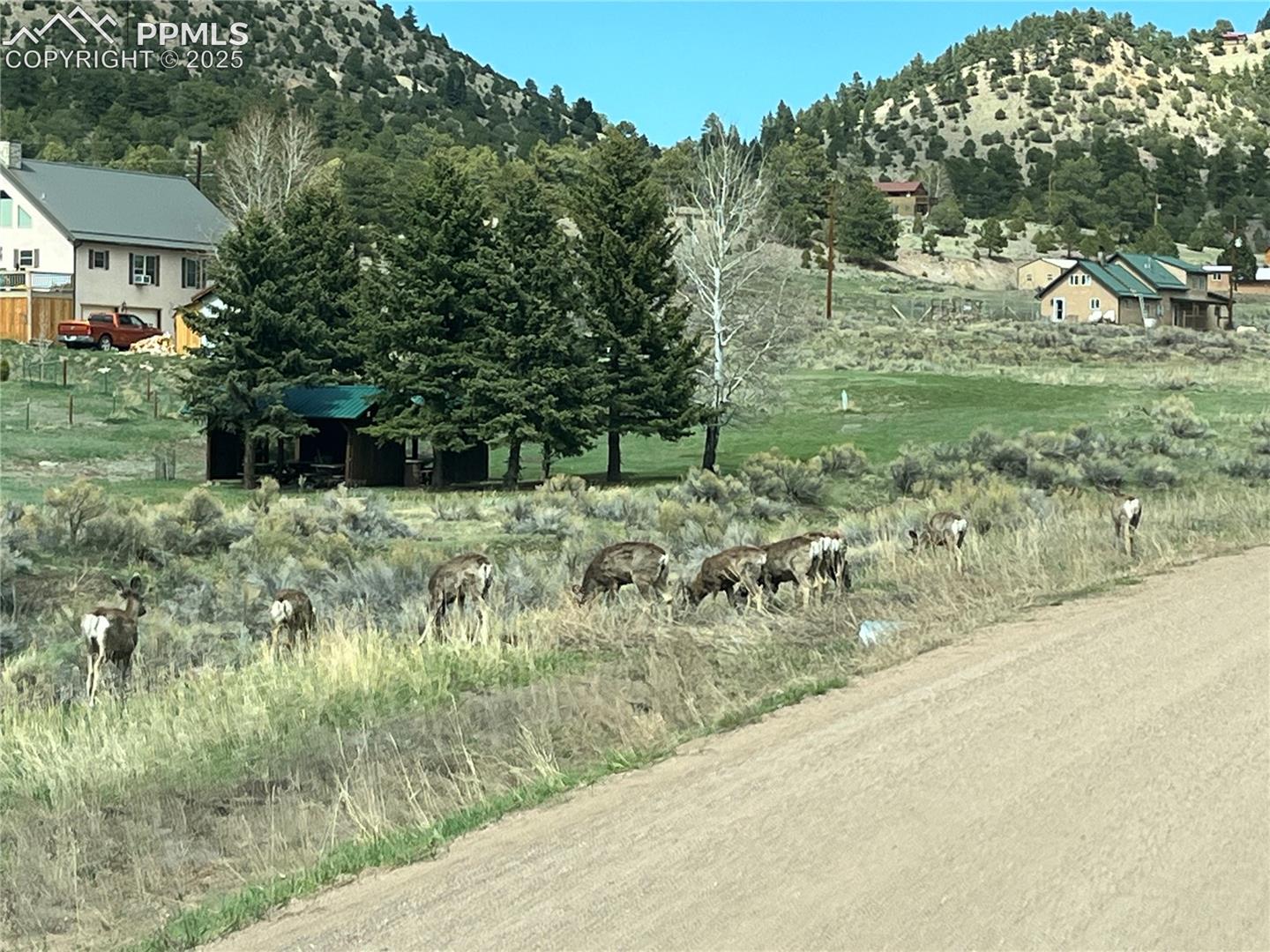 Wildlife in the surrounding areas.