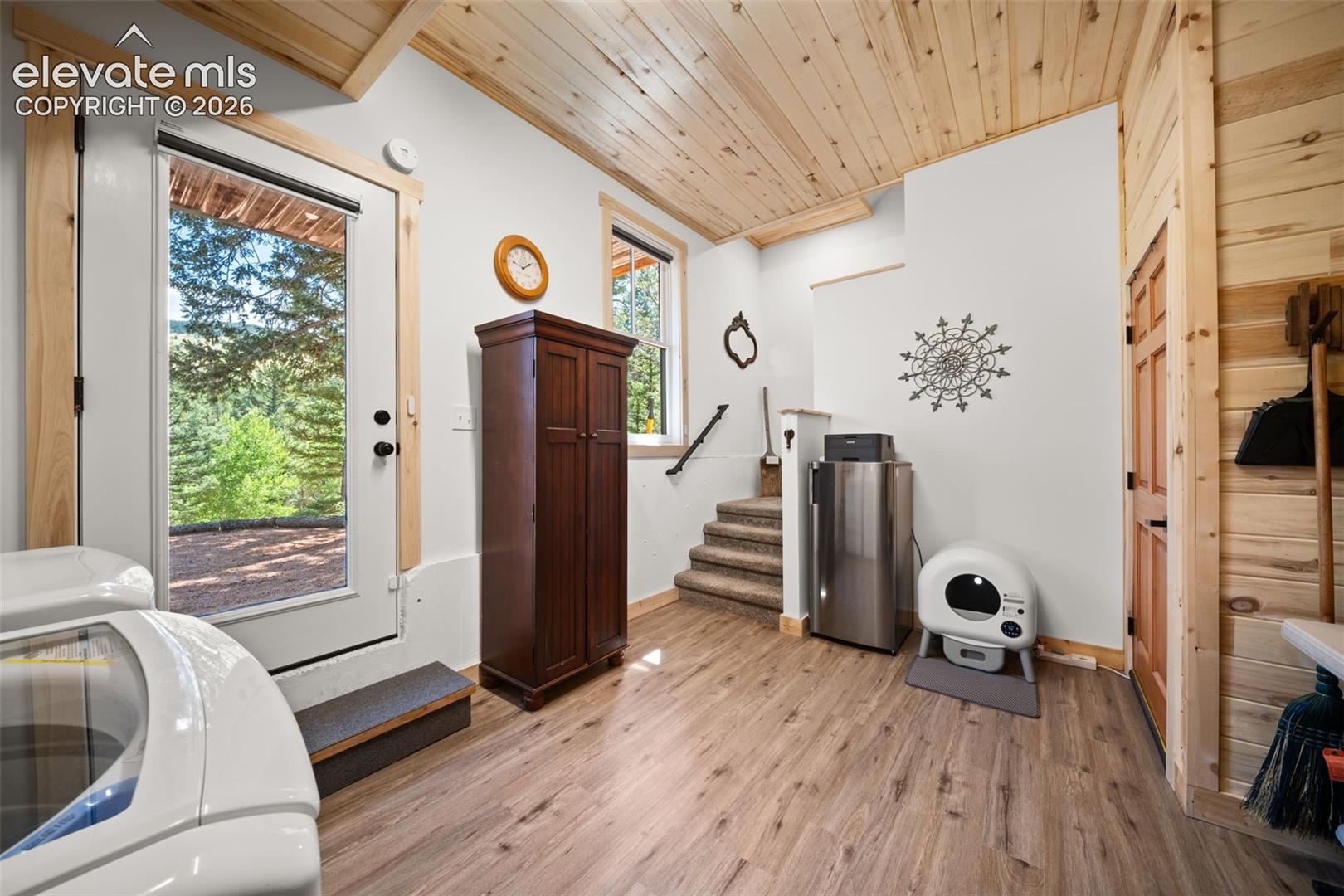 Basement level laundry room, mechanical room and storage