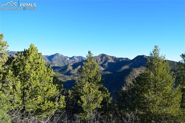 Photo 14 of 3735 Big Spruce Heights, Colorado Springs