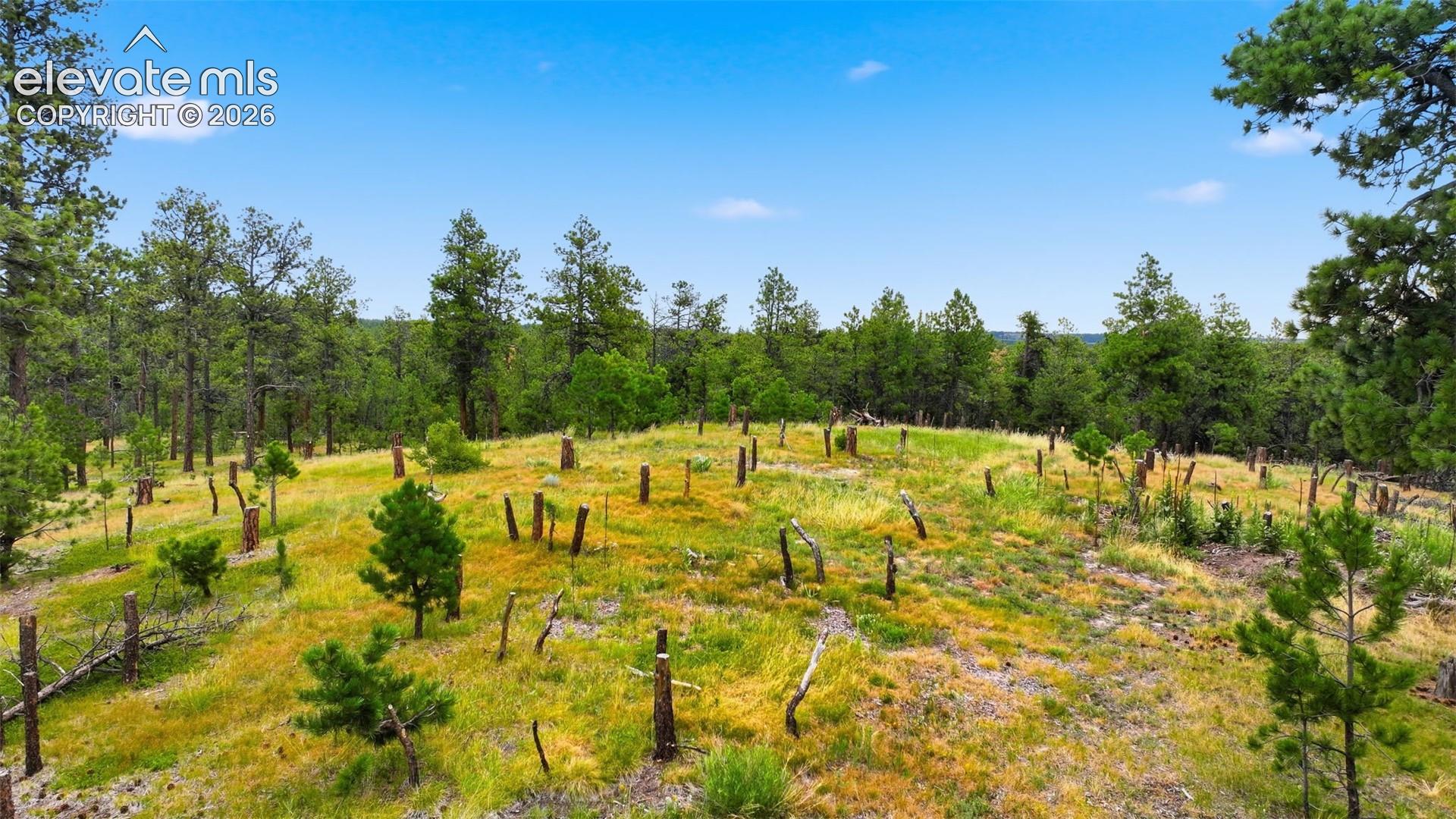 Photo 10 of 17374 Goshawk Road, Colorado Springs