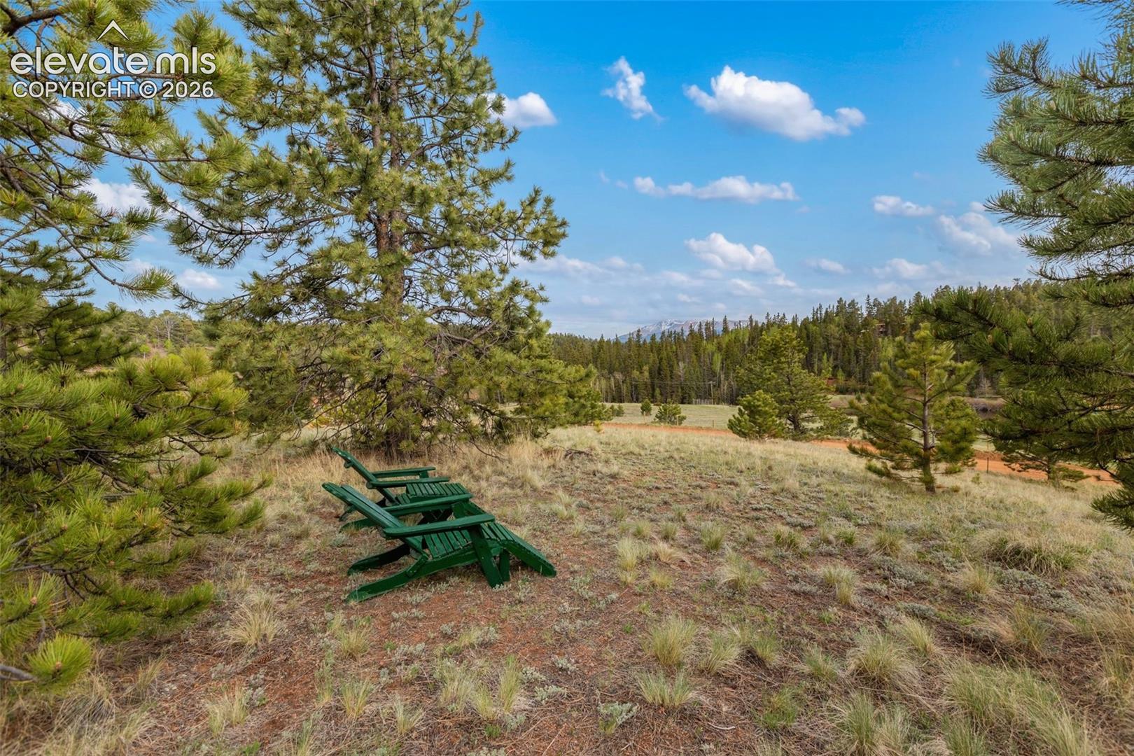 996 Spring Valley Dr, Divide, CO 80814