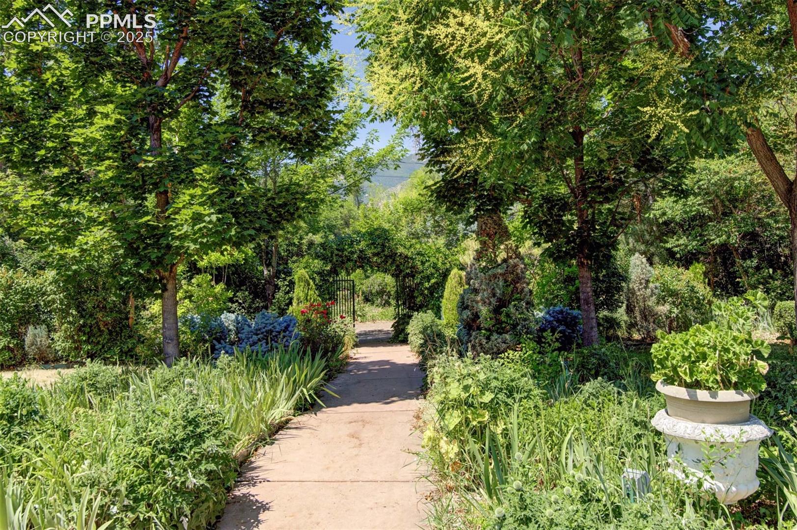 Parisian Garden: Entrance