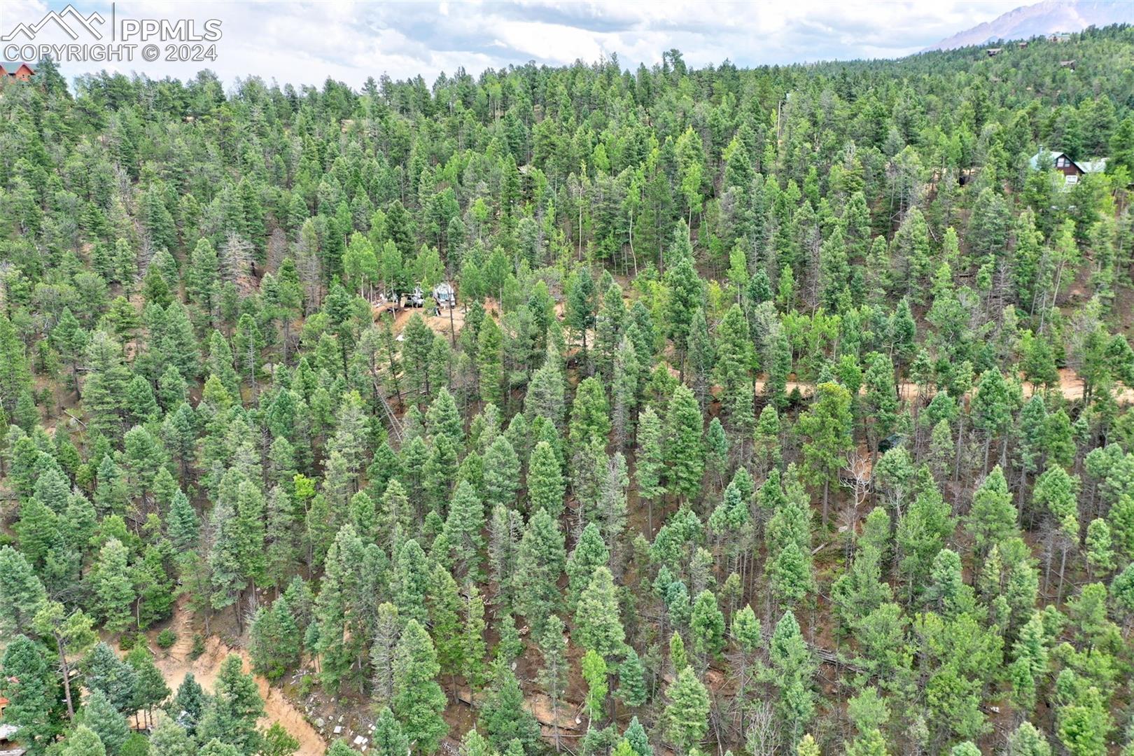 Photo 9 of 251 Osoeola Road, Woodland Park