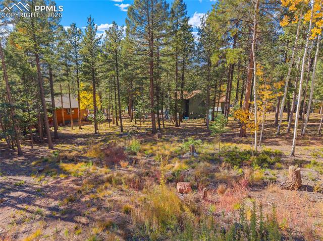 Photo 6 of 1320 Forest Edge Road, Woodland Park