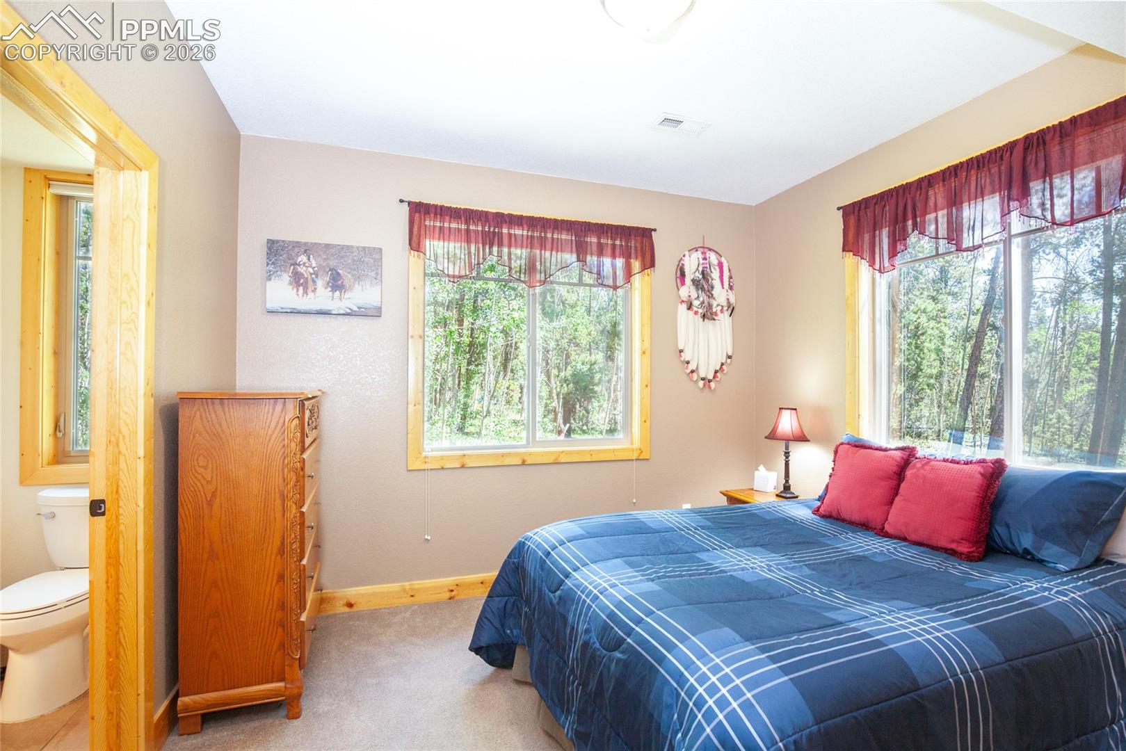 Photo 41 of 416 Foxtail Drive, Fairplay