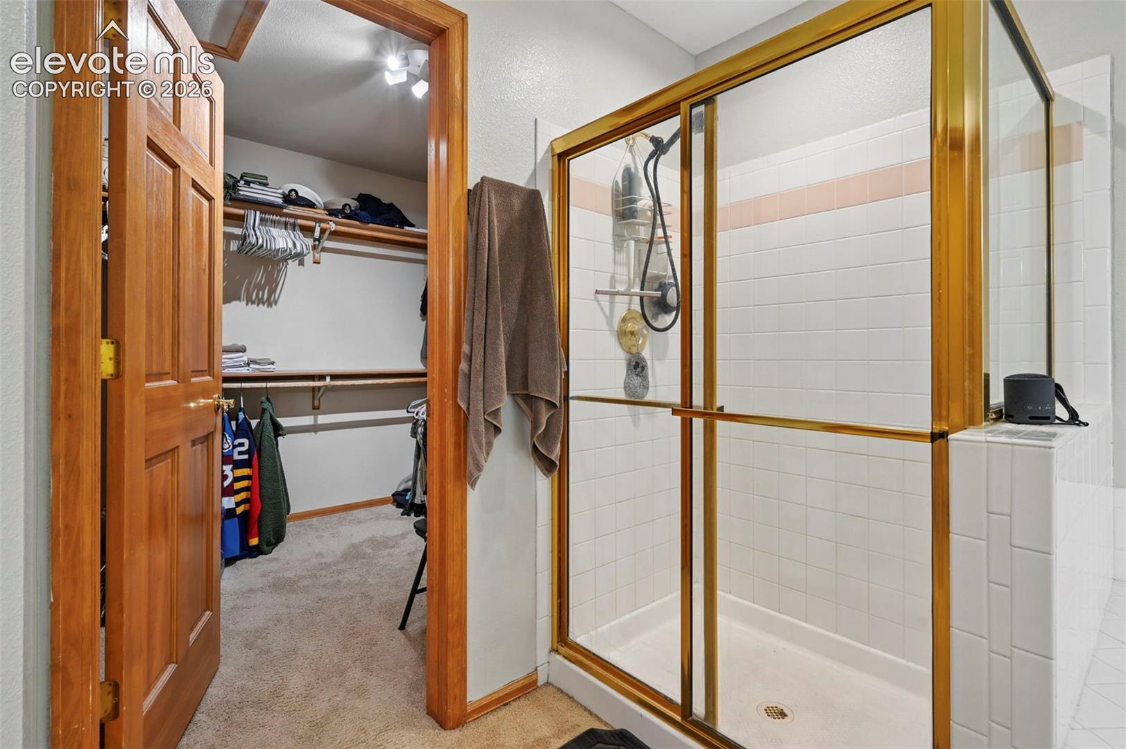 Walk-in closet with built-in shelving, track lighting, and carpet flooring