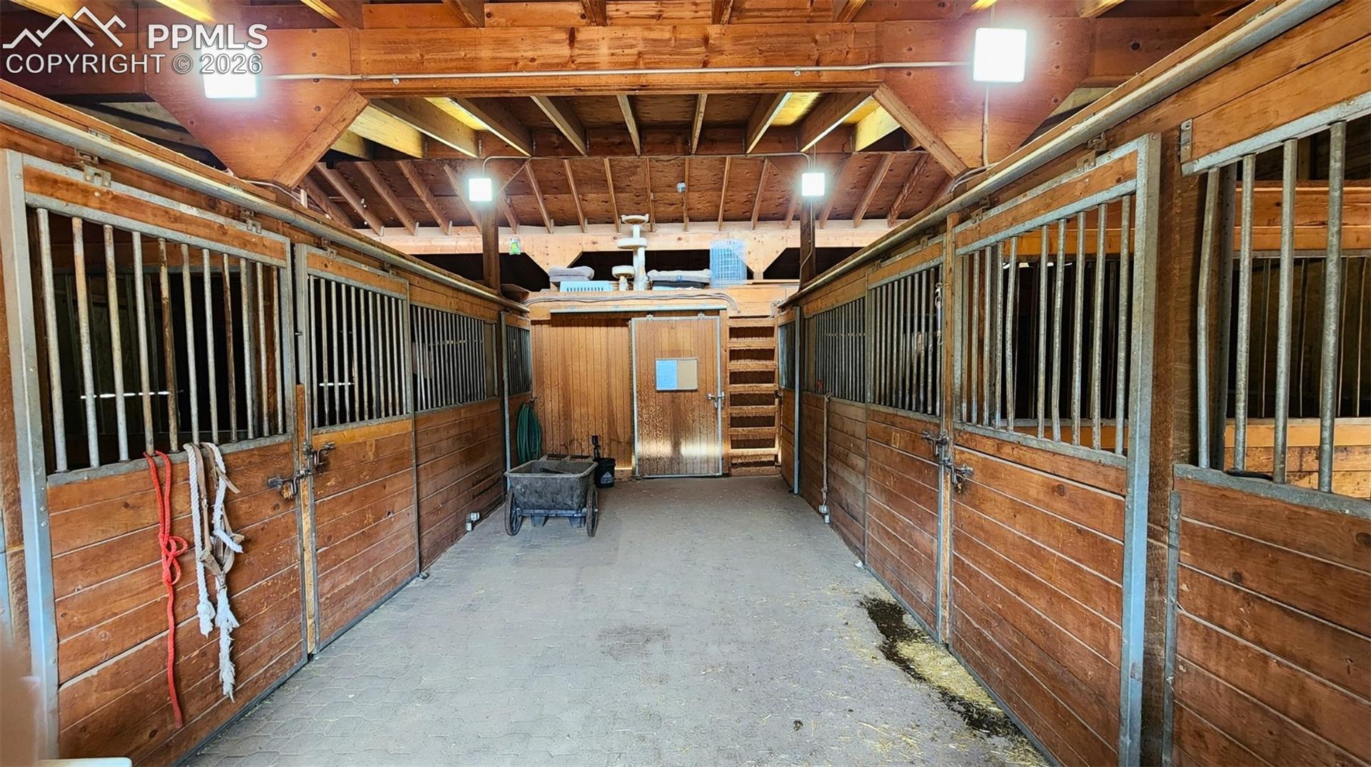 Photo 6 of 210 Bridlewood Lane, Woodland Park