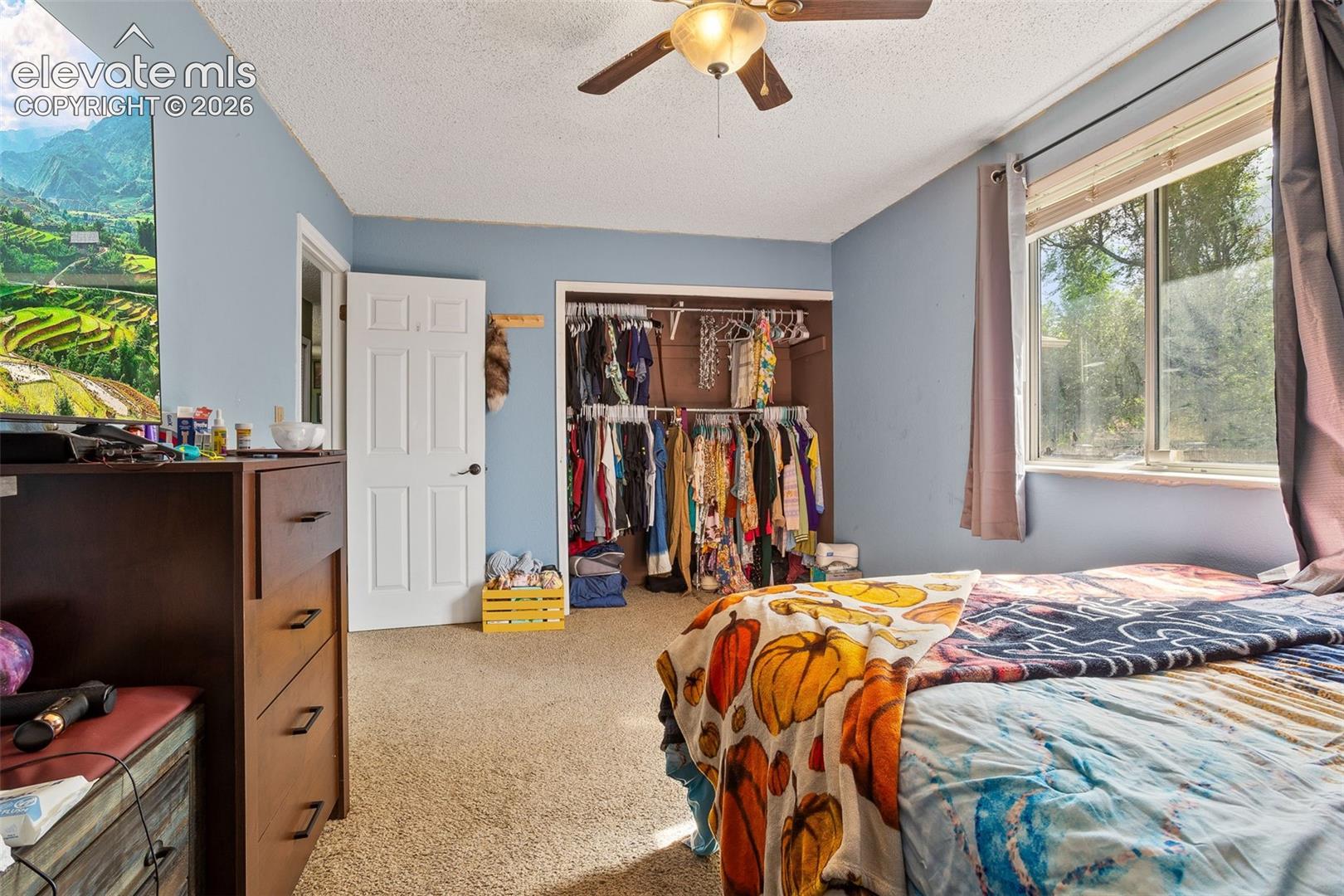 Photo 8 of 2516 Anjelina Circle, Colorado Springs