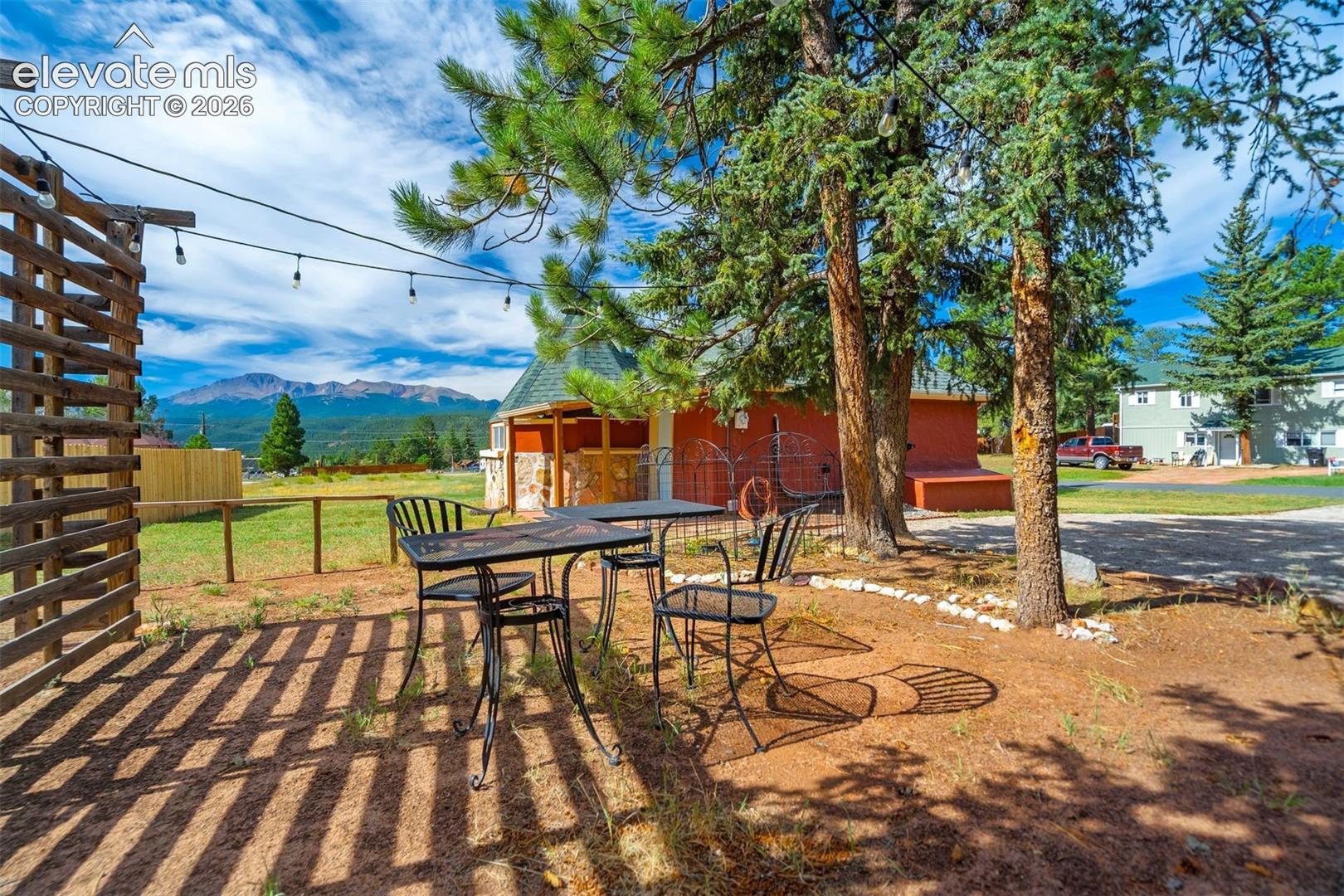 Back yard 