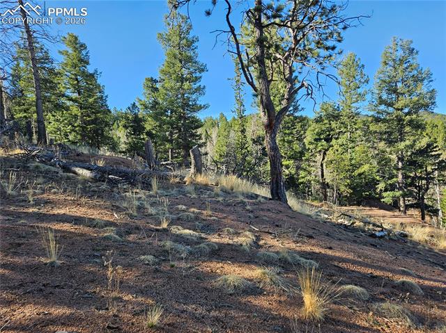 Photo 13 of 652 Derby Drive, Cripple Creek