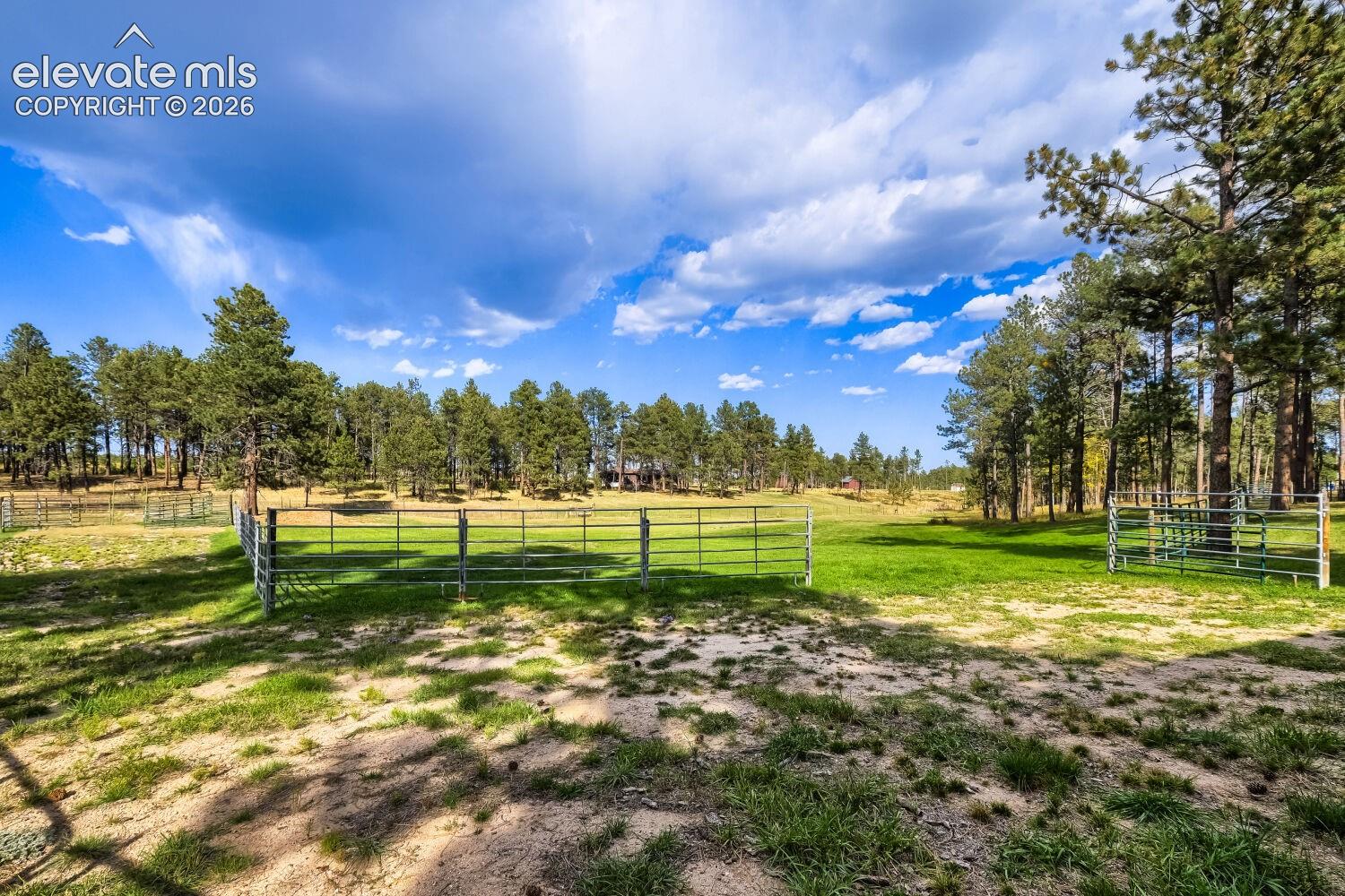 Expansive green acreage with metal fencing and mature evergreen trees
