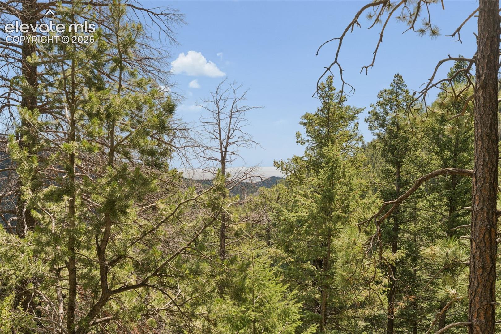 Photo 39 of 5110 Little Turkey Creek Road, Colorado Springs
