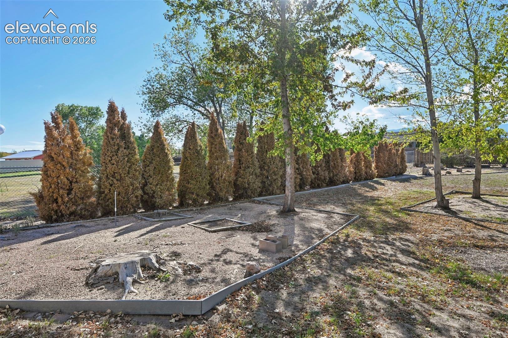 Defined outdoor space featuring mature trees and a row of evergreen shrubs