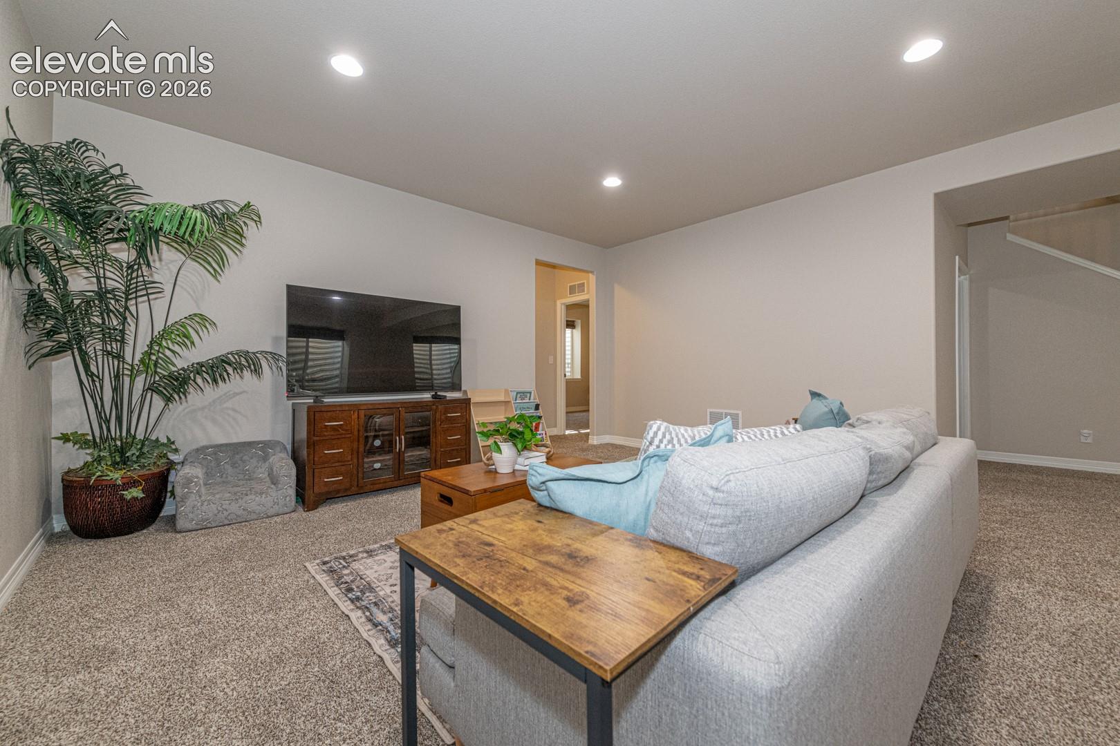 Basement Family Room