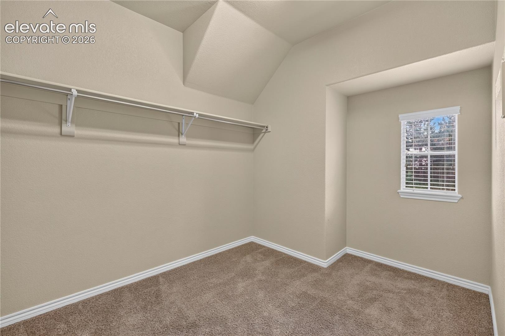 Walk-in storage space featuring neutral carpeting, a single-tier rack system