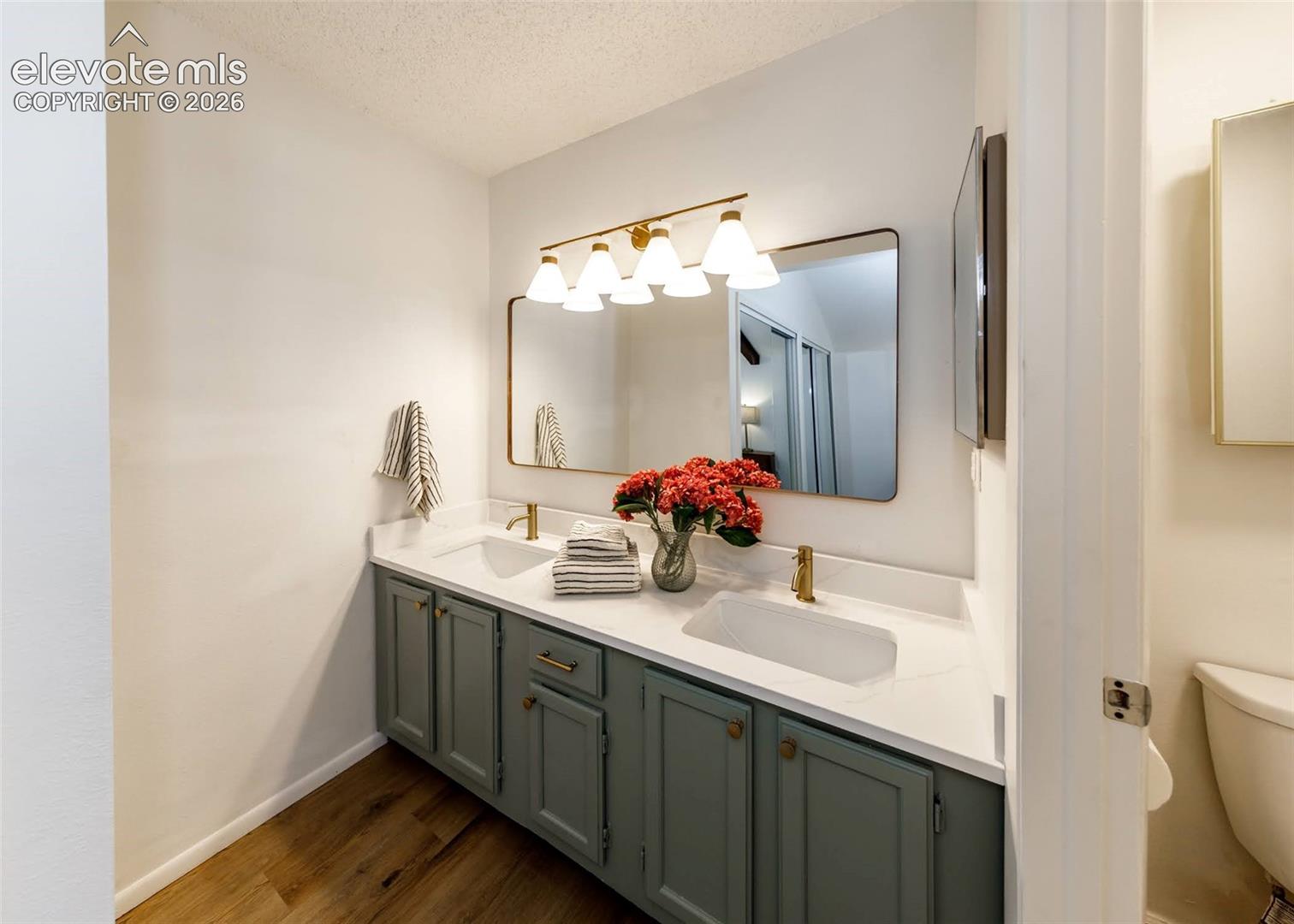 Double vanity featuring sage green cabinetry, a solid surface countertop, dual undermount sinks with brass-finish faucets, a rectangular mirror, and a multi-bulb light fixture