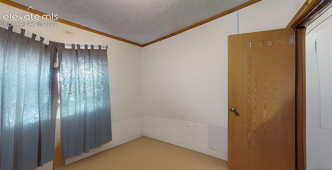 Unfurnished room with ornamental molding and light colored carpet