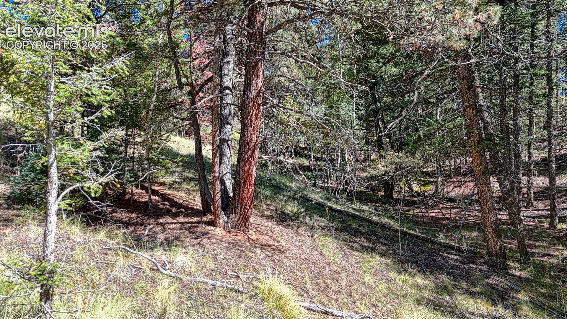 Photo 26 of 136 Gold Crown Circle, Cripple Creek