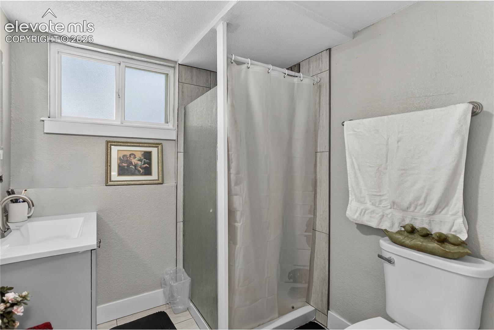Guest bath - lower level